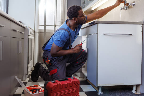Best Local Plumber Services  in Westfield, WI